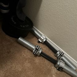 2 Rogue DB-15 Adjustable Dumbbells 