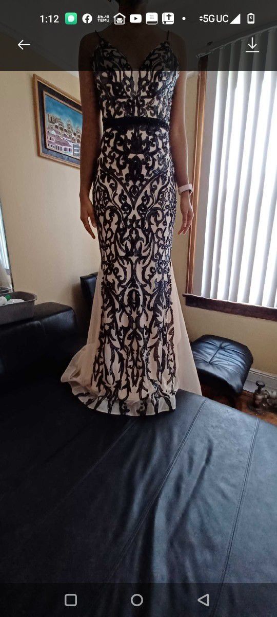 Evening Dress Sz 6 Only