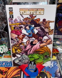 IDW Comics TMNT Vs Street Fighter #2