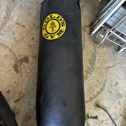 Golds Gym Punching Bag