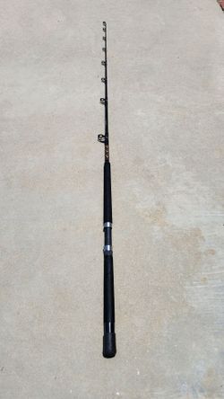 6'6" Evolution GT Fishing Rod