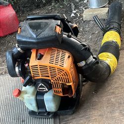 Echo Blower 