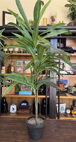 Artificial Faux Dracaena  Floor /table Plant with black planter pot 45” H X 26” W