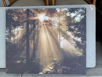 Canvas print 37”x 30”