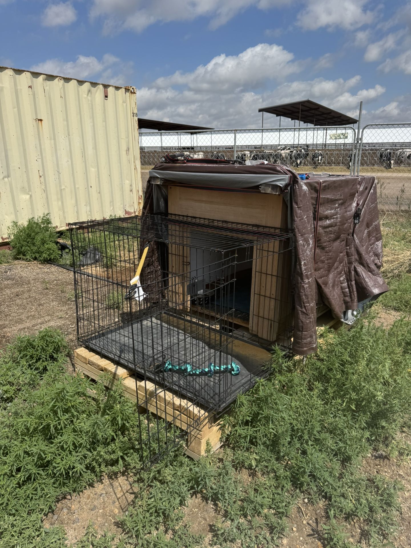 Large Dog House With Crate And House On Large Pallet