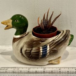 🦆 Rare: Vintage 1981 Japanese Duck Planter w Succulent 
