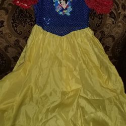 Disfras Para  NIÑAS  TALLA  8/10 En Excelentes  Condiciones 