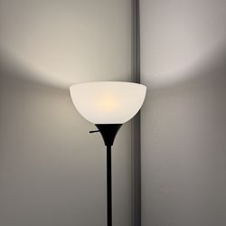 Black Torchiere Floor Lamp - Retails $40