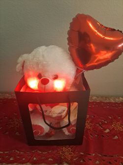 $25. Love. Valentine's.  Talking Teddy Bear . Said I love you