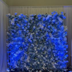 Flower Wall, Marquees 16 And Throne Chair 