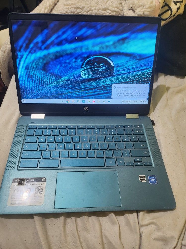 HP Chromebook