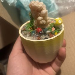 $15 Mini Crystal Decoration 
