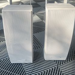 Bose 251 Outdoor Speakers 