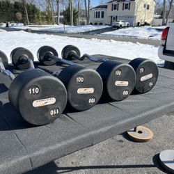  Listing Title: PRISTINE Commercial LA Fitness Fixed EZ-Curl Barbells (70lb–110lb)