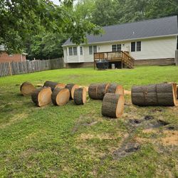 Free Oak Firewood 