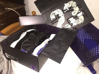 Jordan 11s