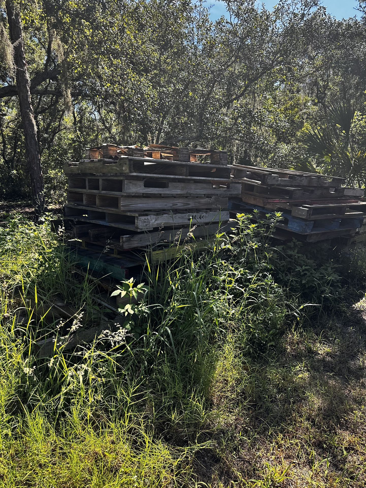 Pallets Free For Pickup
