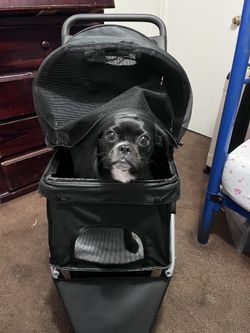 Pet Strollers