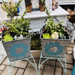 POTTED PLANTS WITH PLANT STANDS