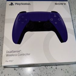 PS5 Controllers 