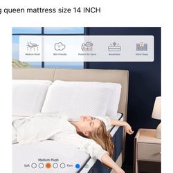 Mattress New 14