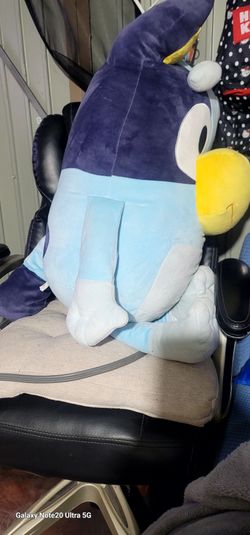 Bluey 32.   inch.