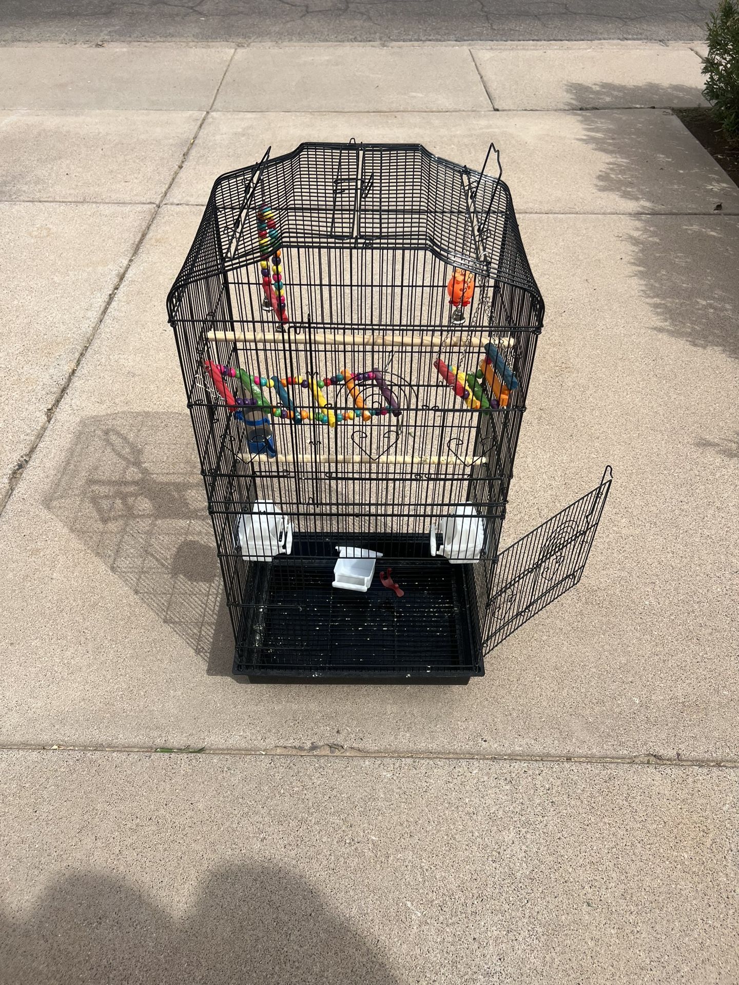Bird Cage