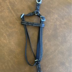 Dog Harness