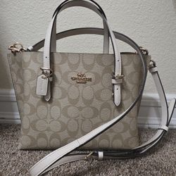 Coach Mollie Tote Bag 25 Signature Canvas