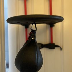Over The Door Punching  Speed Bag
