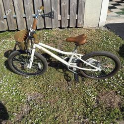 Girl/Boy 20 Inch Bike 