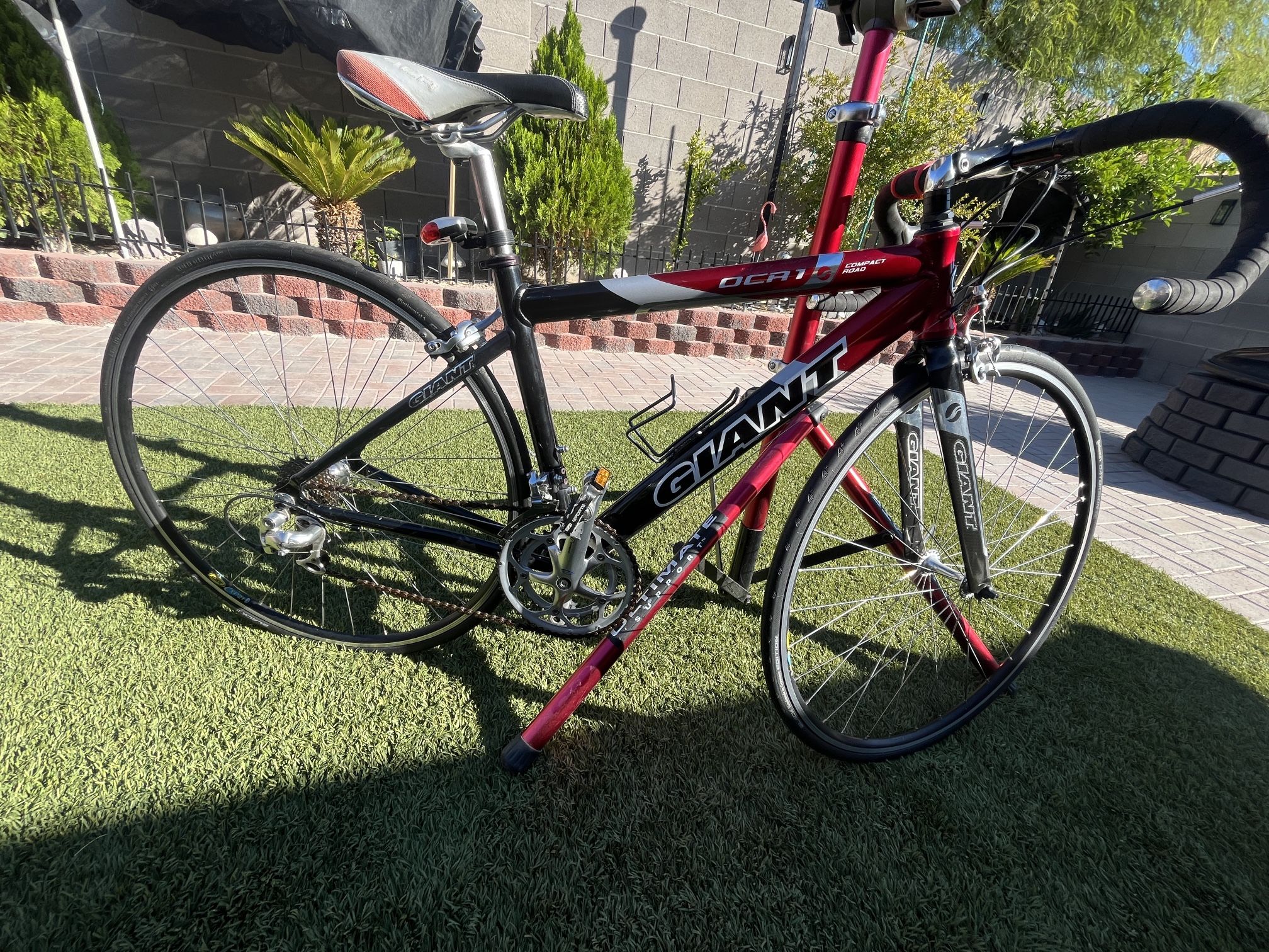 Giant Bike