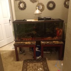 Assortment Of Fish Tanks