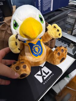Gryphon Hatchling