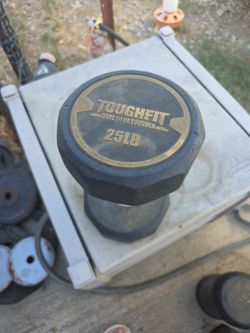 25lb Dumbell