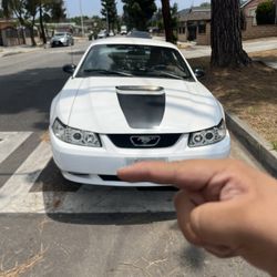 2000 Ford Mustang
