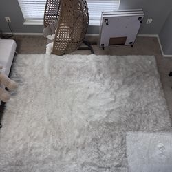 8x10 Carpet Fluffy Rug