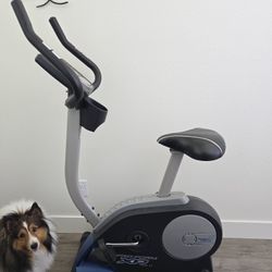 Stationary Bike Pro-Form XP 185 U