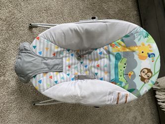 Baby Bouncer 