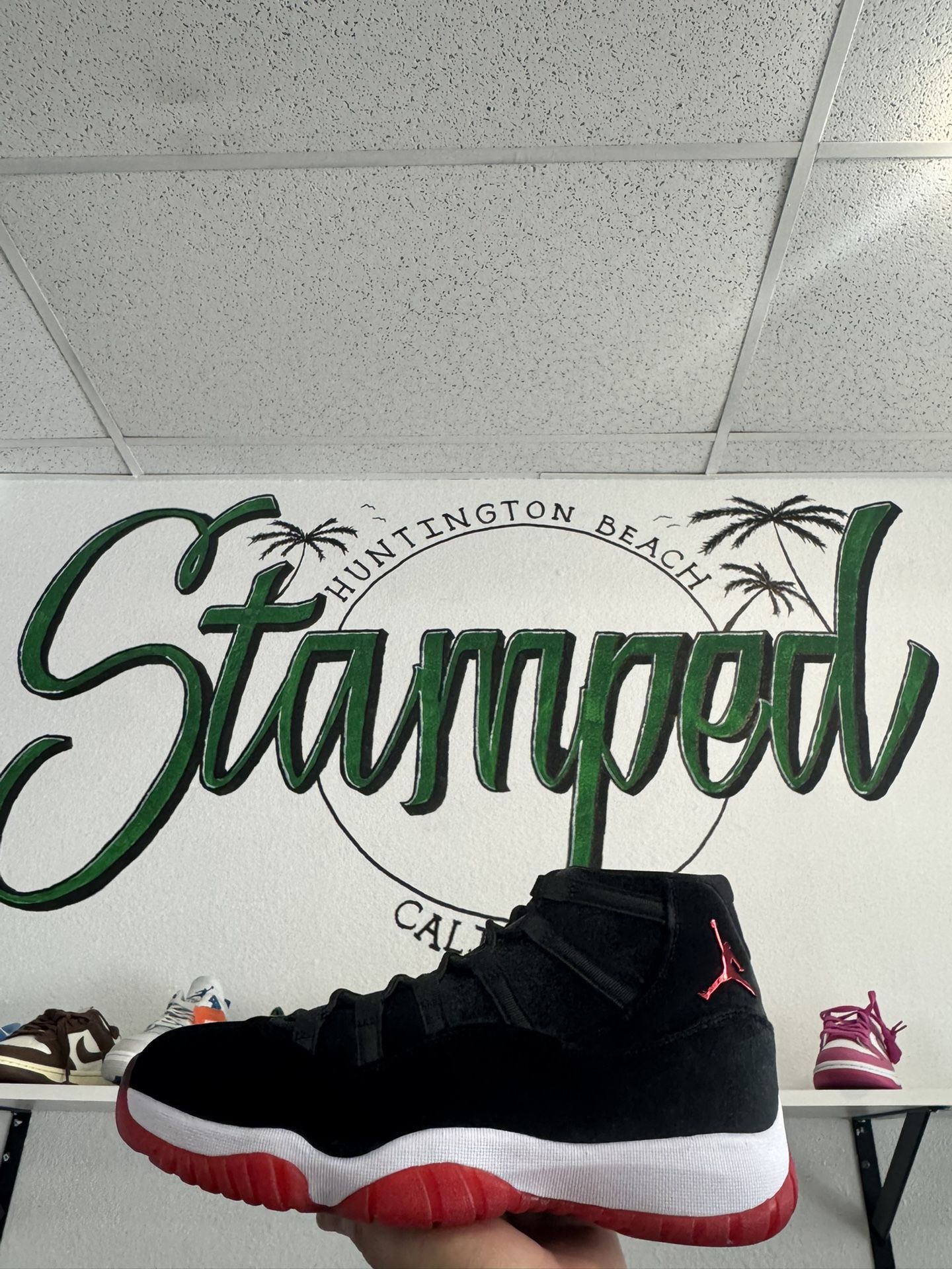 Jordan 11 Bred Velvet