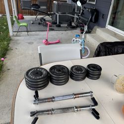 Weights Barbell N Dumbbell 