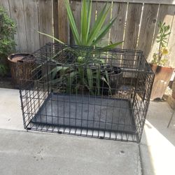 PET Cage