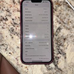 iPhone 13 Pro Max 1TB Data Back Cracked 