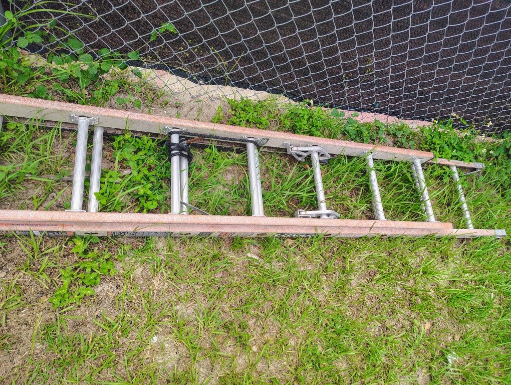 Lunar Ladder For Sale