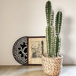 Home Decor Cactus Seagrass Pot Vintage Framed French Street Scene Art African Woven Zulu Basket