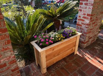 Raised planter