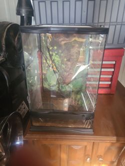 Reptile aquarium