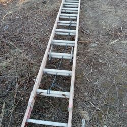 32 Foot Louisville Fiberglass Ladder