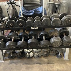 Rubber Pro Style Dumbells 