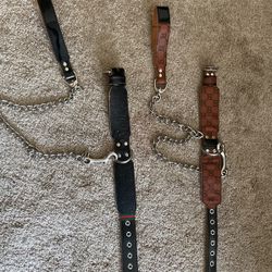 Gucci Dog Collar And Matching leash 